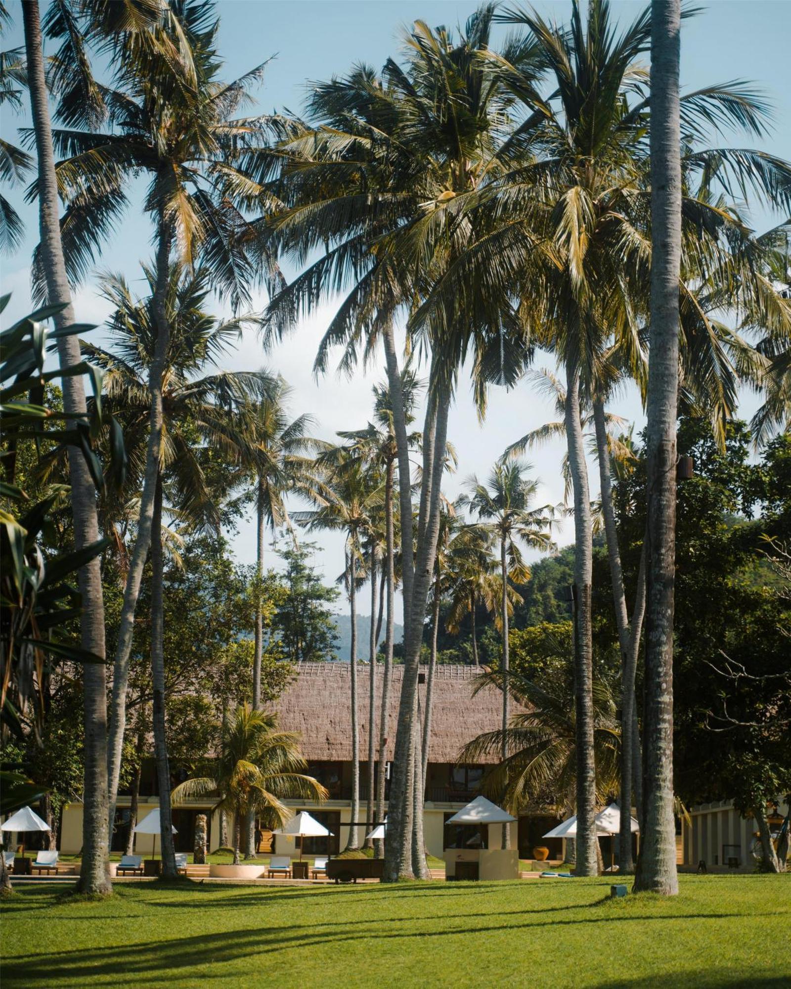 Alila Manggis